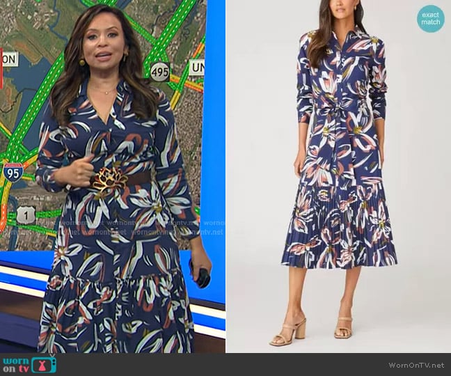 Shoshanna Tori Dress worn by Adelle Caballero on Today