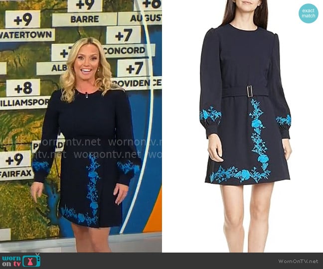 Ted Baker Zaphyra Dress worn by Megan Glaros on CBS Mornings