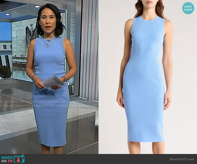 Theory Sleeveless Ribbed Midi Sweater Dress worn by Vicky Nguyen on NBC News Daily