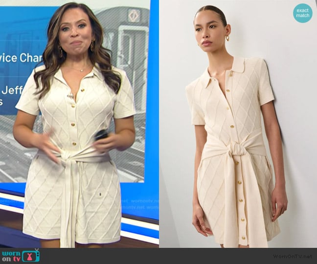 Toccin x RTR Short Sleeve Mini Polo Dress worn by Adelle Caballero on Today