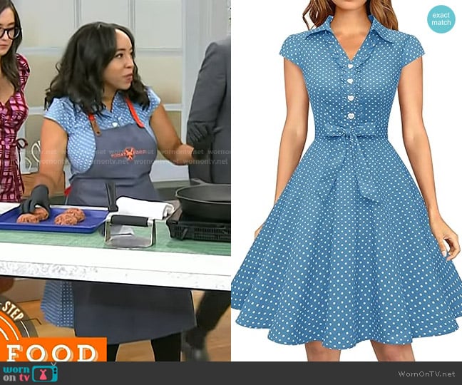 Wedtrend at Amazon Retro Rockabilly Dress worn by Erica Blaire Roby on Today