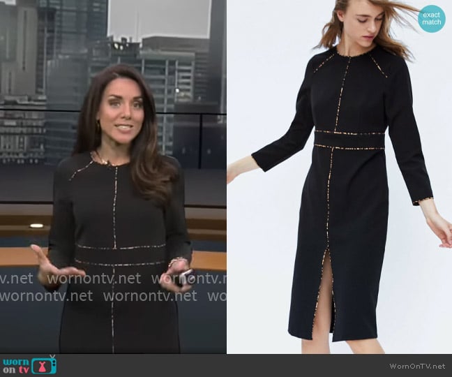 Zara Dress with Animal Print Piped Seams worn by Kate Bilo on CBS Mornings