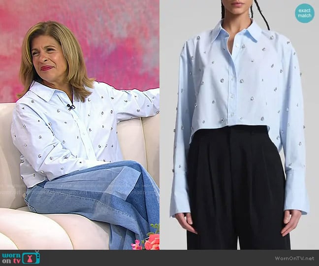 A.L.C.b Mackie Embellished Shirt in Ice Water worn by Hoda Kotb on Today
