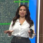 Adelle’s grey pinstripe pencil skirt on Today