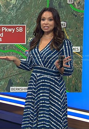 Adelle's blue dot print dress on Today
