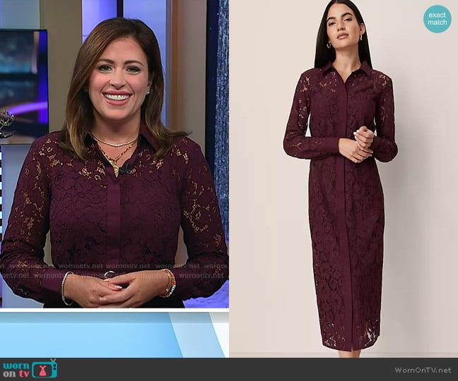 Ann Taylor Belted Lace Midi Shirtdress in Poised Plum worn by Chloe Melas on Today