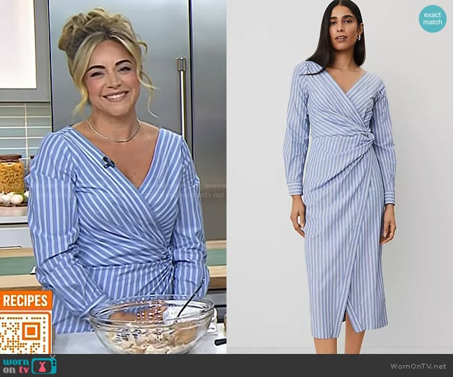Ann Taylor Striped Asymmetric Shirtdress in Colony Blue worn by Dina Deleasa-Gonsar on Today