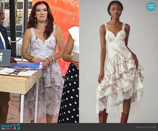 Anthropologie The Bobbi Asymmetrical Ruffle Tiered Midi Dress worn by Amy Goodman on Today