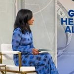 Dr. Tara Narula’s blue check mesh dress on Good Morning America