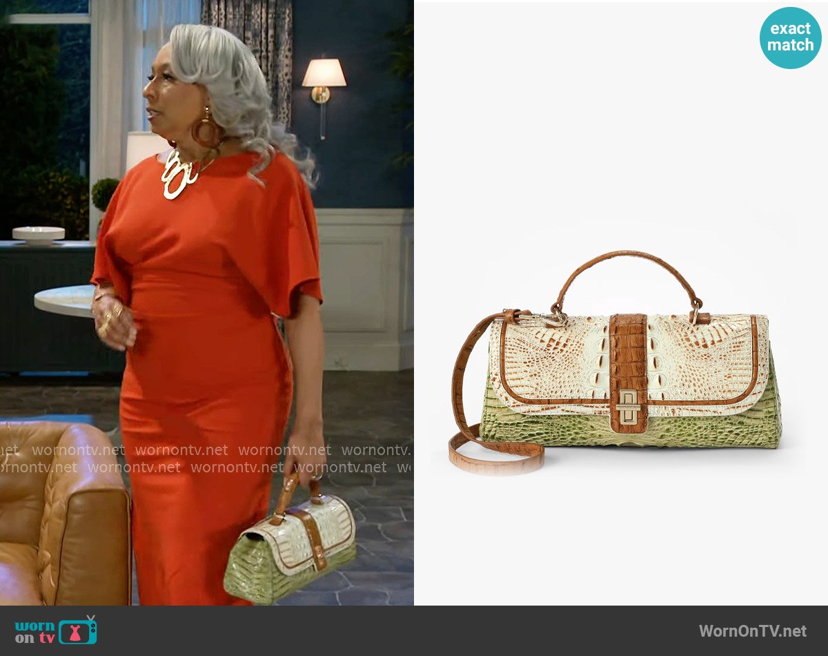Brahmin Dayan Bag in Fern Williamette worn by Anita Dupree (Tamara Tunie) on Beyond the Gates