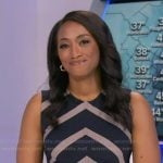 Brittany’s striped sleeveless dress on Good Morning America