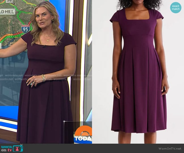 Calvin Klein Short Sleeve Midi Fit & Flare Dress in Aubergine worn by Emily West on Today