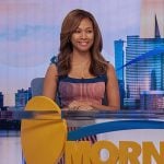 Chris’s pink and blue print dress on The Morning Show