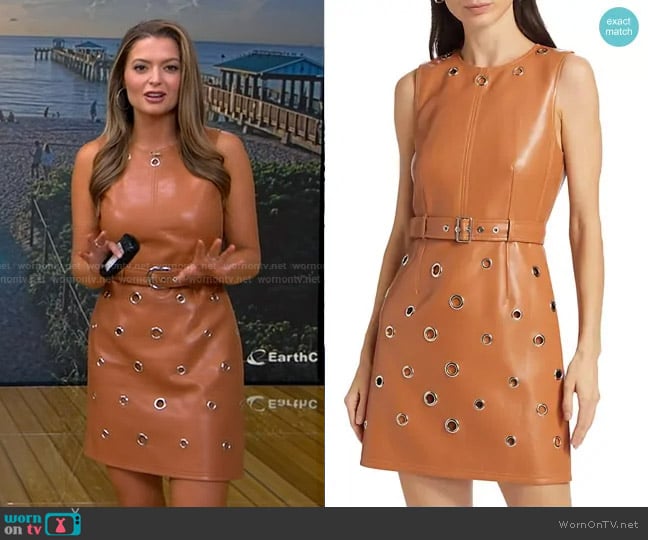 Cinq a Sept Harriet Vegan Leather Mini Dress in Chestnut Brown worn by Dani Beckstrom on Good Morning America