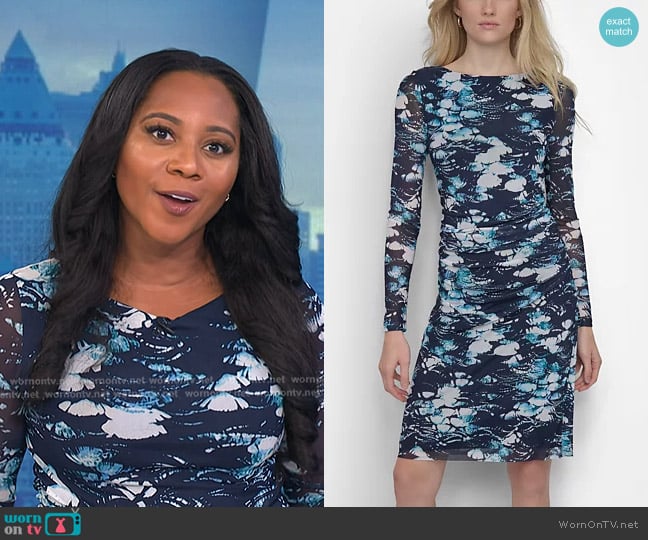 DKNY Printed Mesh Long-Sleeve Sheath Dress worn by Kay Angrum on NBC News Daily