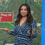Adelle’s blue dot print dress on Today