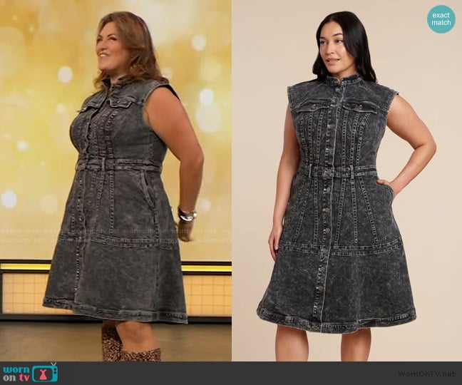 Eloquii Fit And Flare Denim Dress worn by Kristina on The Drew Barrymore Show