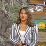 Ginger’s grey striped blazer on Good Morning America