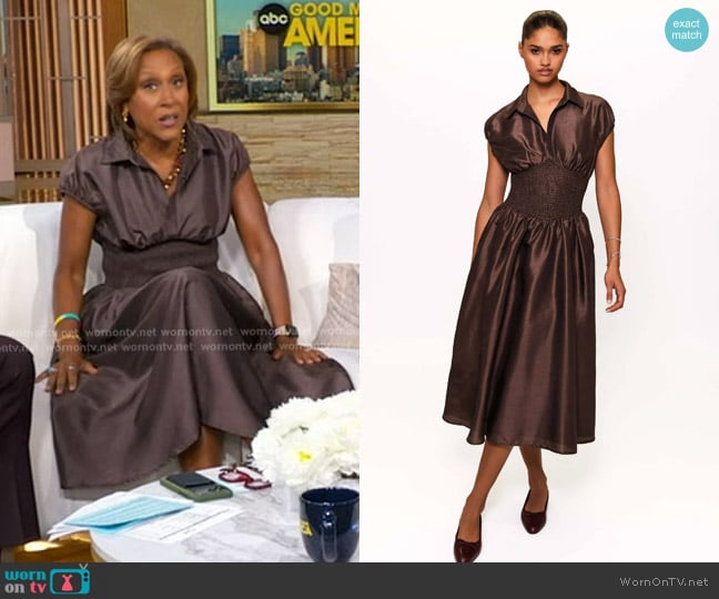 Hutch Trevy Dress in Brown worn by Robin Roberts on Good Morning America