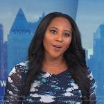 Kay’s blue print long sleeve dress on NBC News Daily