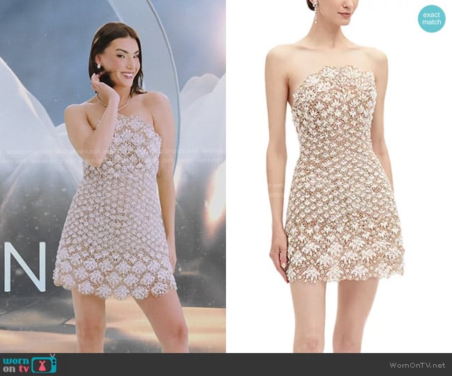 Oscar de la Renta Pearl Embellished Mini Dress in Pearl worn by Bronwyn Newport on The Real Housewives of Salt Lake City