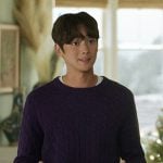 Steve’s purple cable knit sweater on The Summer I Turned Pretty