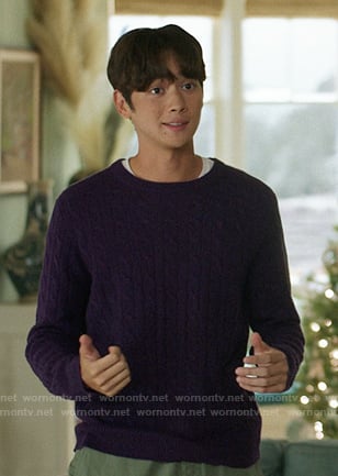 Steve's purple cable knit sweater on The Summer I Turned Pretty