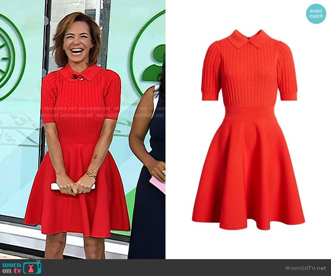 Ted Baker Mia Knit Skater Dress worn by Stephanie Ruhle on Today