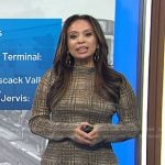 Adelle’s brown plaid long sleeve dress on Today