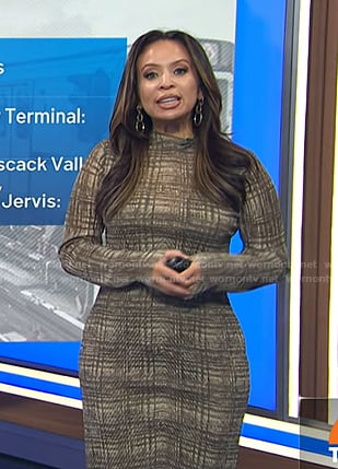 Adelle's brown plaid long sleeve dress on Today