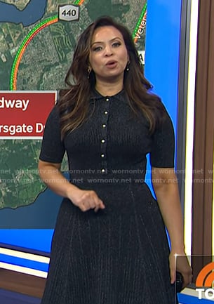 Adelle's lurex polo dress on Today