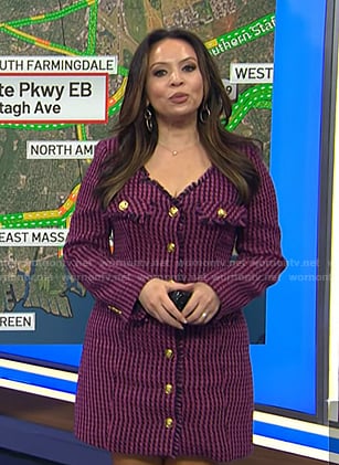 Adelle’s pink houndstooth tweed dress on Today