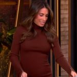 Alyssa’s brown turtleneck dress on The View