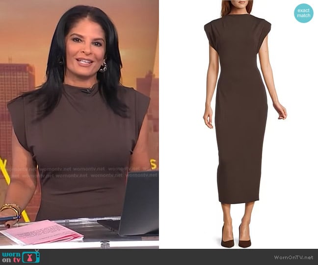 Antonio Melani Harper Dropped Cap Sleeve Midi Sheath Dress in Chocolage worn by Darlene Rodriguez on Today