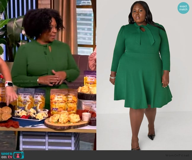 Ashley Stewart Cutout Tie Neck A Line Dress worn by Lesley Riley on The View