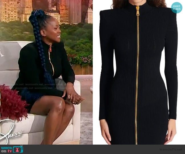 Balmain Zip Front Dress worn by Erika Alexander on Sherri
