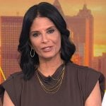 Darlene’s brown jersey dress on Today