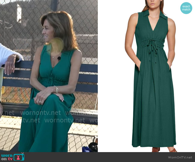 Calvin Klein V-Neck Sleeveless A-Line Maxi Dress worn by Janet Shamlian on CBS Mornings
