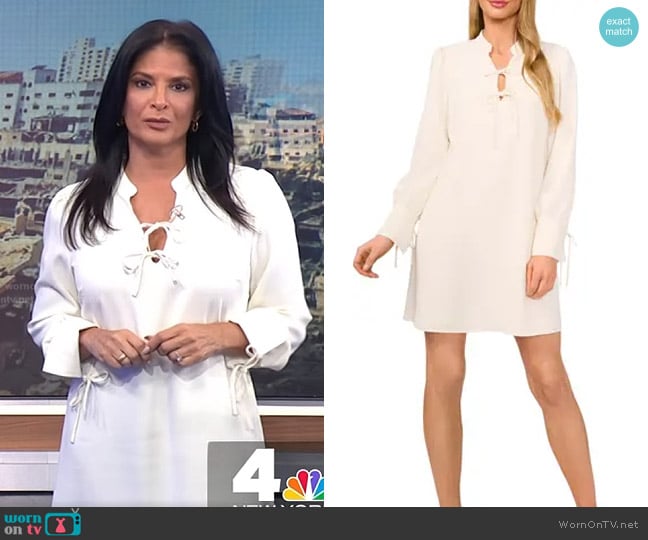 Cece Tie Detail Long Sleeve Dress worn by Darlene Rodriguez on Today