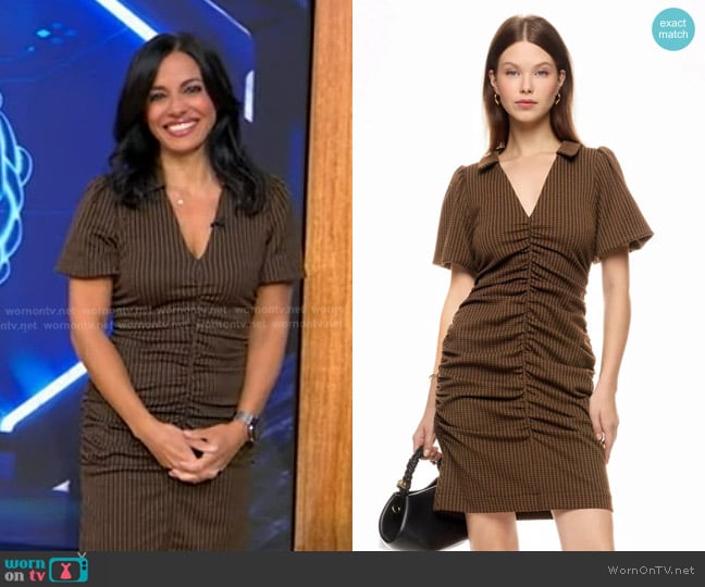 Donna Morgan Checkered Dress in Black & Brown worn by Dr. Tara Narula on Good Morning America