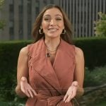 Emily’s brown trench dress on Access Hollywood