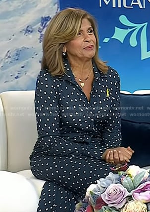 Hoda's navy polka dot shirtdress on Today