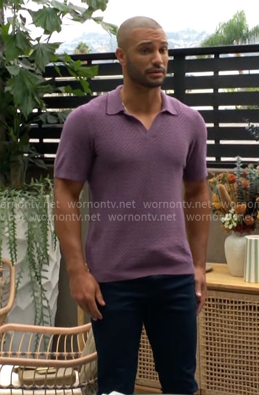 Holden's purple chevron polo shirt on The Young and the Restless
