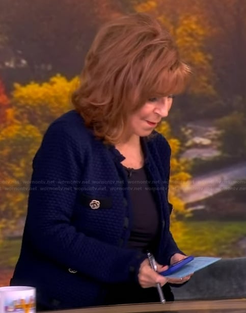 Joy's blue tweed jacket on The View