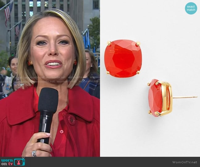 Kate Spade Square Semiprecious Stone Stud Earrings worn by Dylan Dreyer on Today