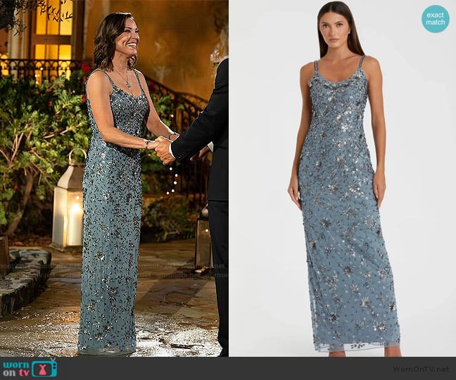 Mac Duggal Blue Floral Embellished Scoop Neck Evening Gown worn by Debbie Siebers on The Golden Bachelor