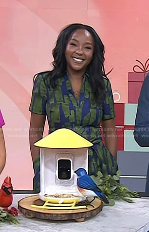 Makho's green and blue print shirtdress on Today
