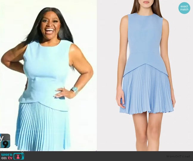 Sherri’s blue pleated mini dress on Sherri