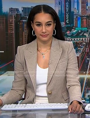 Morgan grey blazer on NBC News Daily