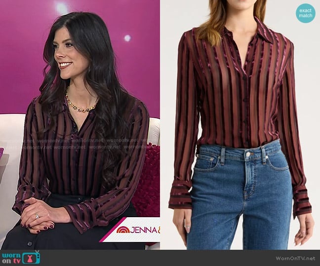 Paige Mazzy Velvet Stripe Sheer Silk Blend Button-Up Shirt in Aubergine Black worn by Sarah Battani Sams on Today